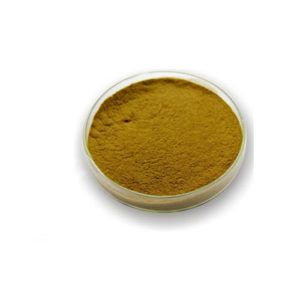 Andrographis Extract
