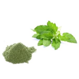 Basil (Tulsi) Extract
