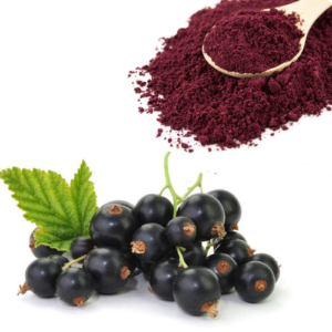 Black Currant Juice Powder
