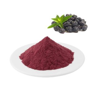 Blackberry Juice Powder