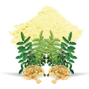 Boerhavia Diffusa Extract