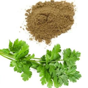 Coriander Extract