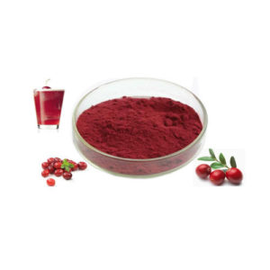 Cranberry Juice Powder