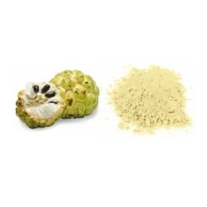 Custard Apple Juice Powder