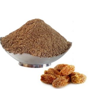 Date Juice Powder