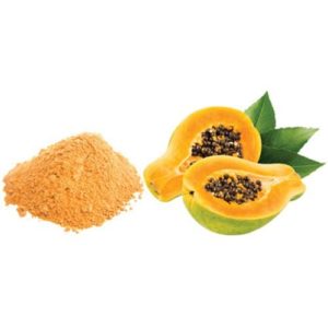 Fermented Papaya Powder