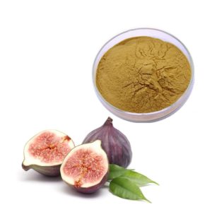 Fig Juice Powder