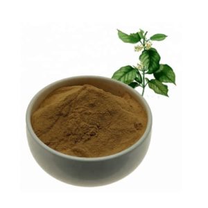 Gymnema Extract
