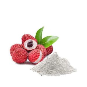Litchi Juice Powder