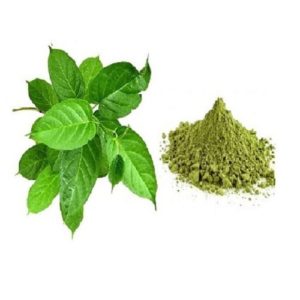 Organic Gymnema Extracts