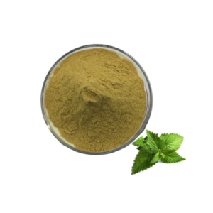 Organic Mint extract