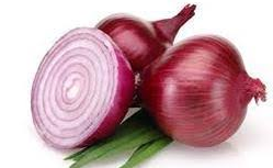 Organic, Nutritional and Natural onion 25kg 