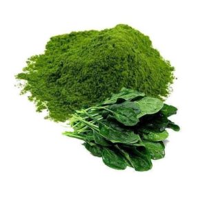 Spinach powder (Dehydrated)
