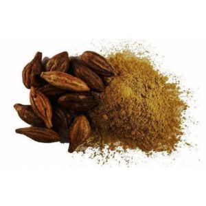 Terminalia Chebula Extract
