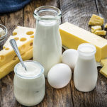 dairy