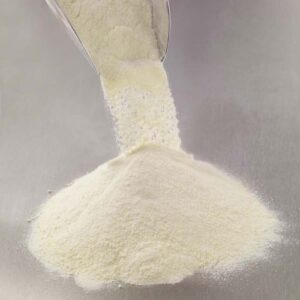 Whey Powder