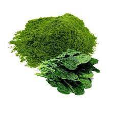 Spinach protein powder